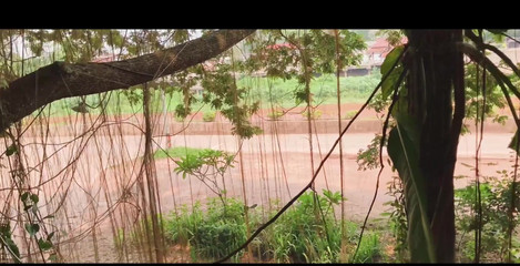 Good morning, would you like a cup of coffee?