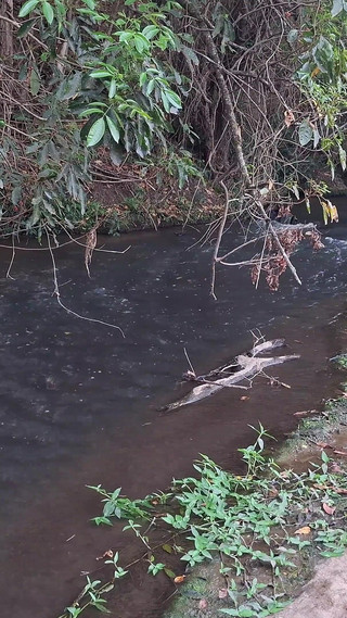 Strangers Are Caught Having Sex at the Waterfall.