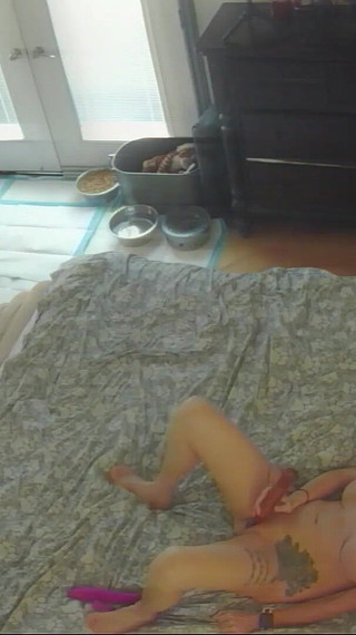 Bonnie Trying Out Her First Hands Free Eroscillator Then a Dick Then a Solo Finish for the Win!! 4K