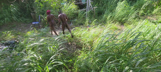 Two Lovers Traveling by Road Decided to Fuck in the Bush When There Bus Has Issued