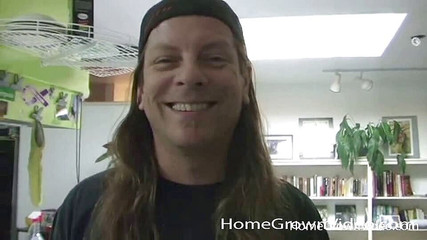 Lincoln Spunked - Bts