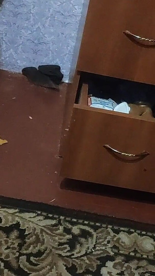 Doggy Style Ass Fingering and Anal