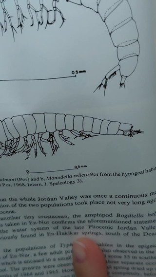 I Wanted to Read a Book, but My Husband Had Other Plans