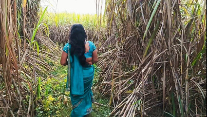 Today I Kicked My Wife's Ass in a Sugarcane Field and Shot an Indian Sex Video