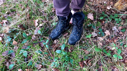 Pussy Beating on the Table in the Forest