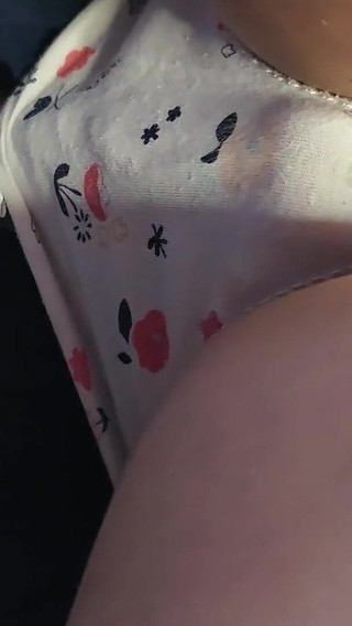 She Let a Stranger Slide His Penis Inside Her Panties on the Subway.