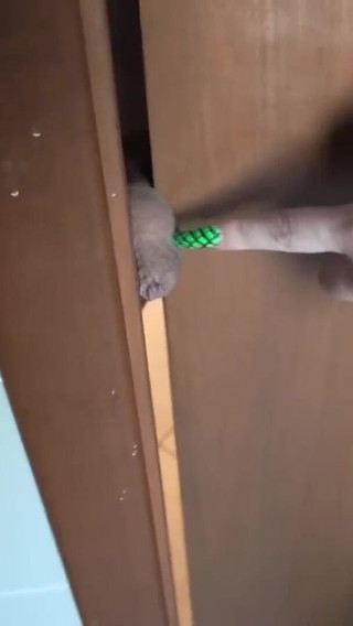 BDSM girl slap his balls