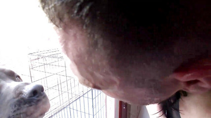 Nacho's Usa Adventure