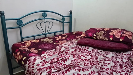 Wife Fucking Every Day in My Life