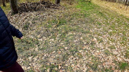 Slapping Her Naked Vagina on Table in the Woods