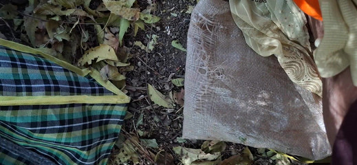 Bhabhi Fucked in the Jungle