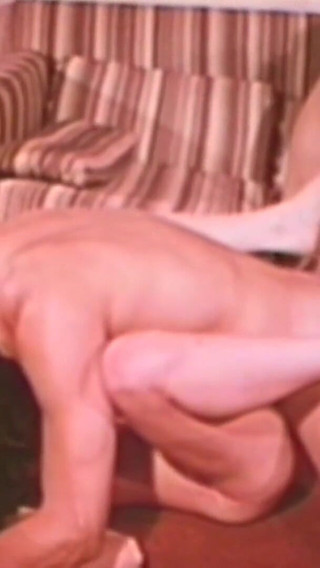 Vanessa the Fucking Pig