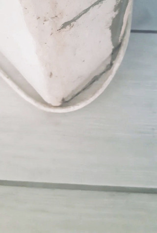 InShot_20220120_111448702