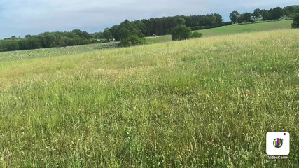 Miaxxx Sex with the Ex-boyfriend