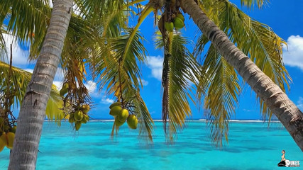 The Proposition: Mrs. Keagan Vacation Ep 2