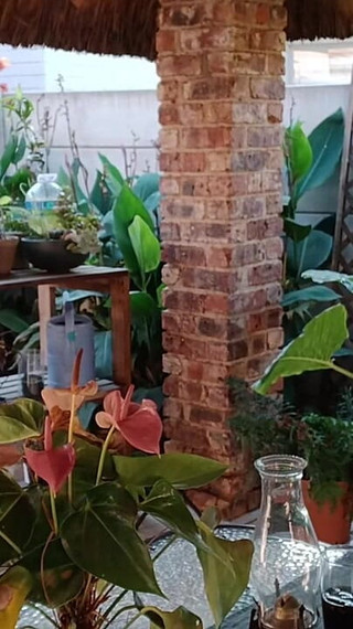 Fucking My Neighbours Wife Outdoor on the Patio