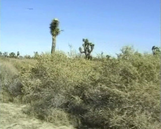 Mature MILF From Germany Got Picked up and Fucked