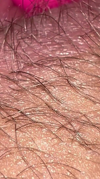 A Little Fun with Bun