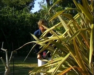 Magnificent German Blonde Gets Her Mouth Filled in the Backyard