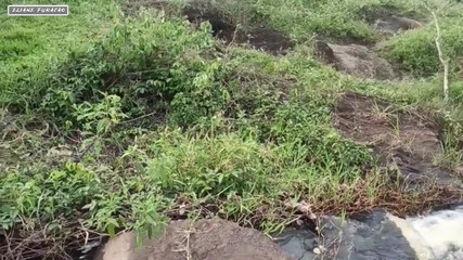 We Found An Unusual Place To Have That Hot Sex With Gifted Negao.