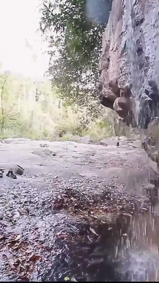 Would You Like to Go to the Forest with Us, Darling?