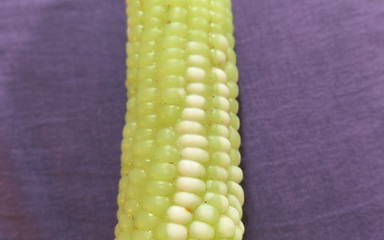 Labor Day Bash Fed Fat Whore Corn Now She's Farting