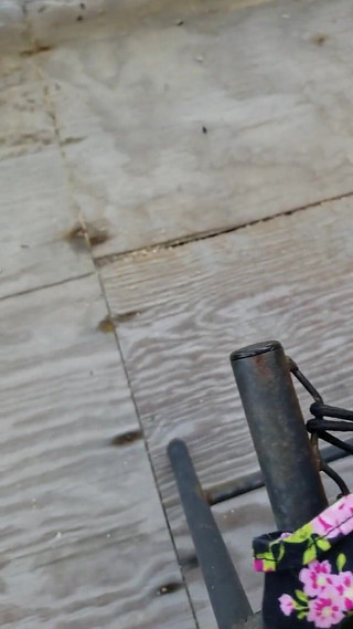 MILF playing outside on the front porch in plain view of the street and neighbors