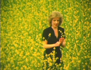 French maid: U.S. classic!