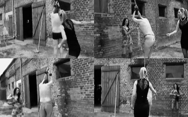 The Whip and Thze Dominate