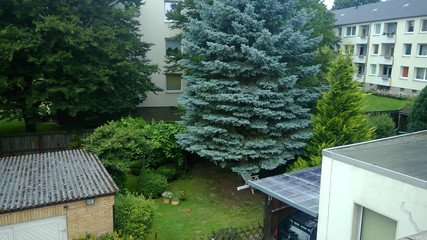 Naked and Playing with Pussy Out Window