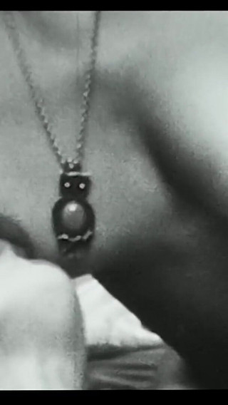 Vintage porn retro erotic theatre - The visitor