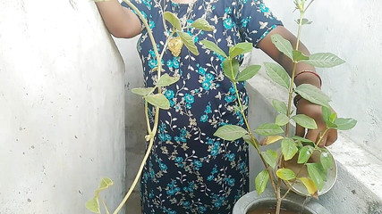 Indian Tamil Village Beauty Aunty Sex