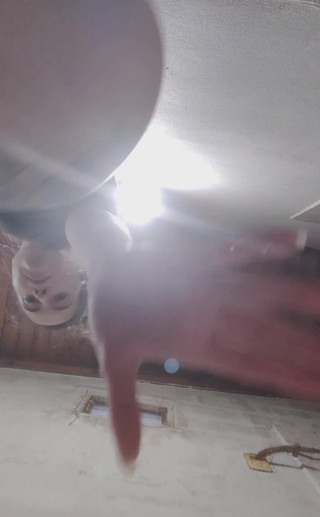 Showing Teen Hairy Pussy