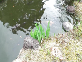 M607g05 Assault on a 56 -year -old Mature Woman Living in a Large Old Private House in Nakazu!