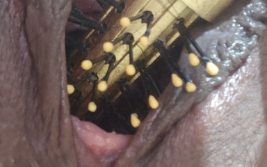 Destroying Pussy with Bristles