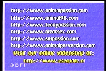 Celine it Pays to Advertise