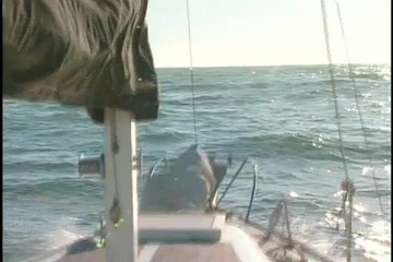 Redhead Babe Gets Pounded On The Boat