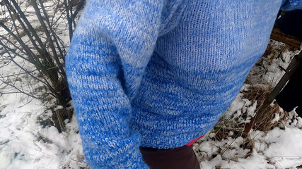 Red Tits in the Snow