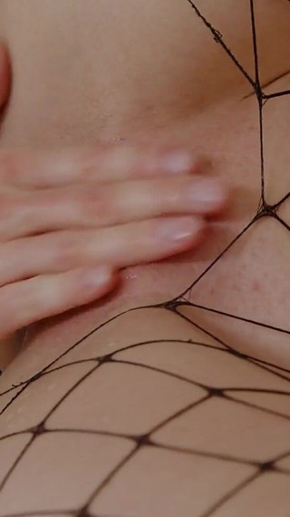 Offer You Can't Refuse