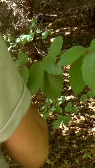 Sexy blonde banged outdoor in the woods