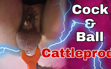 Cock & Ball Cattle Prod