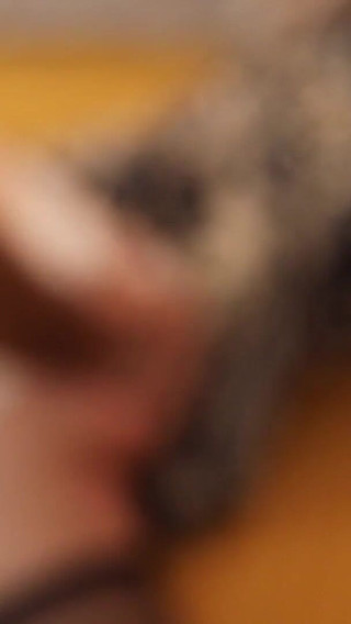 2433eo - Ii - French Amateur, Satin Lingerie, Fucking, Blowjob, Rimming