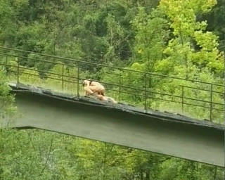 This Blonde German Babe Got Smashed While Hiking