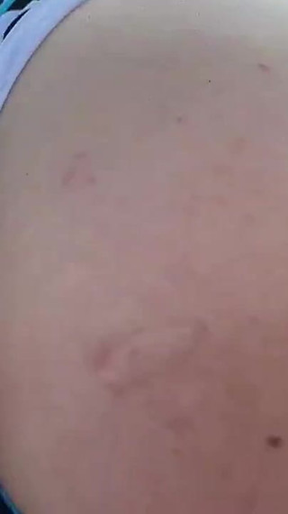 Have You Seen This Sweet Jubilee Treat?!