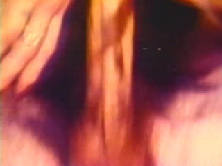 Lingerie vintage brunette's first anal