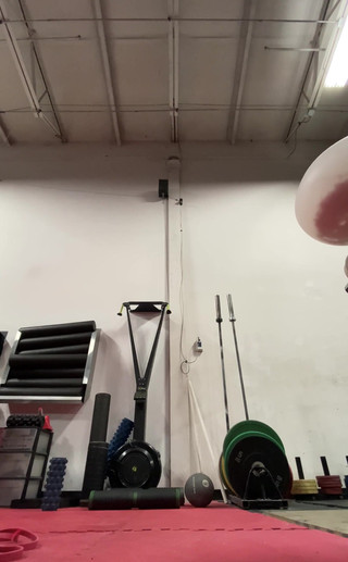 Part of my gym warmup thought you might enjoy seeing some squat action!