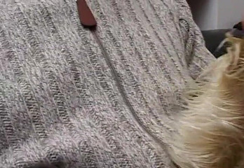 Italian milfs take two big cocks to enjoy more - Sex in Italian families!