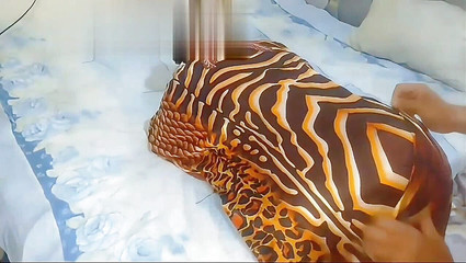 Entered It Full as You on the Hawa