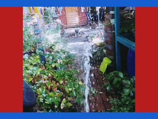 Rare Squirting MILF Squatting