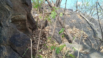 Teacher Enjoying Outdoor Romance